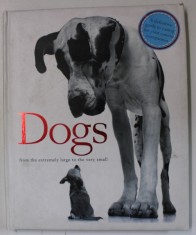 DOGS FROM THE EXTREMELY LARGE TO THE VERY SMALL , THE ULTIMATE DOG LOVER &#039; S GUIDE by EDWARD BANKS , 2014