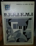 O. Badina, D. Dumitriu, O. Neamtu - Buciumi. Un sat din Tara de Sub Munte