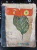Cele Douasprezece Luni ale Visului - Iordan Chimet, Editura Ion Creanga 1972, 432 pagini