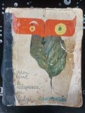 Cele Douasprezece Luni ale Visului - Iordan Chimet, Editura Ion Creanga 1972, 432 pagini
