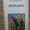 FEFELEAGA - Ion AGARBICEANU