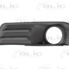 Grila ventilatie, bara protectie FORD FOCUS C-MAX (2003 - 2007) BLIC 6502-07-2534994P