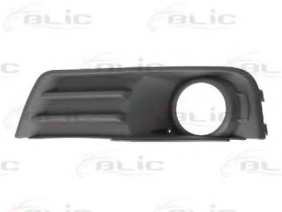 Grila ventilatie, bara protectie FORD FOCUS C-MAX (2003 - 2007) BLIC 6502-07-2534994P foto
