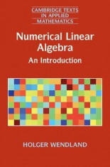 Numerical Linear Algebra: An Introduction foto