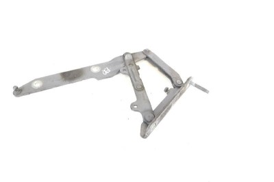 Balama capota dreapta față LAND ROVER RANGE ROVER SPORT L320 2008 OEM: 254TJDE 10635117 foto
