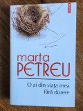O zi din viata mea fara durere - Marta Petreu, 2012 / R4P3F