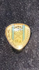 INSIGNA ISRAEL,,IFA"16x14mm./ POZE