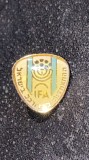 INSIGNA ISRAEL,,IFA&quot;16x14mm./ POZE