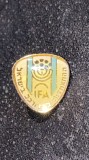 INSIGNA ISRAEL,,IFA&quot;16x14mm./ POZE