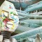 Vinyl - The Alan Parsons Project &ndash; I Robot, Made in Germany.