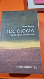 Sociologia. Foarte scurta introducere - Steve Bruce