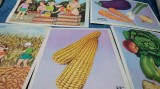 LOT 5 PLANSE SCOLARE 23/16 CM PERIOADA COMUNISTA --