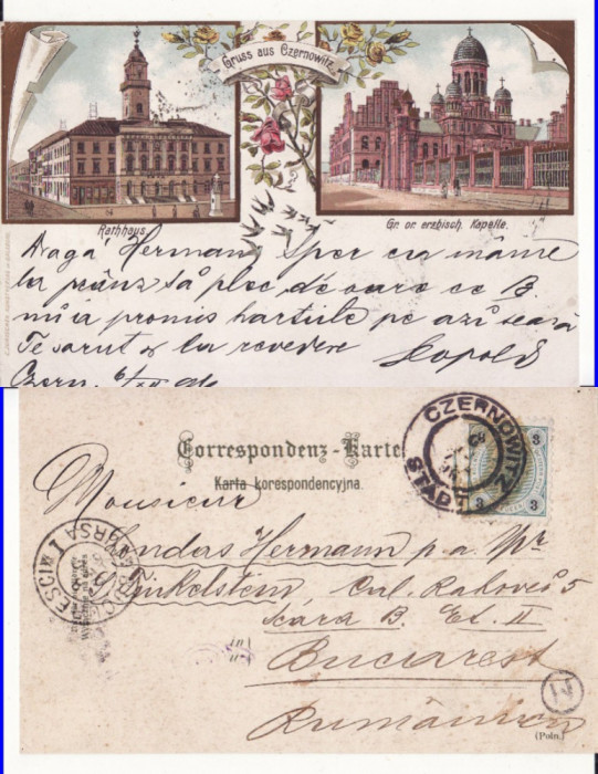 Cernauti , Bucovina - litografie 1896