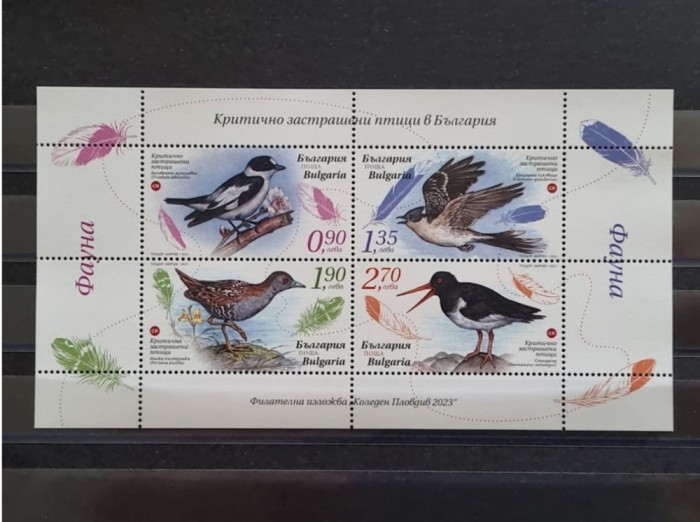 Bulgaria 2023 - Set păsări + 2 blocuri MNH
