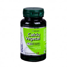 Calciu Vegetal 60cps DVR Pharma