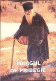 Toiagul de Pribegie - Victor Nichifor - Editura Bunavestire, 2002, Religie Crestinism, Carte in limba Romana