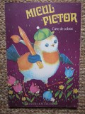 MICUL PICTOR, CARTE DE COLORAT 1977