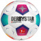 Mingi de fotbal Derbystar Bundesliga Brillant Replica v23 FIFA Basic Ball 162008C alb