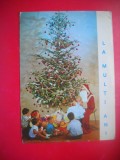 HOPCT 25075 MOS CRACIUN SI COPII SUB BRAD -- FELICITARE CRACIUN / AN NOU -CP VECHE -IP--INTREG POSTAL - ROMANIA - CIRCULATA
