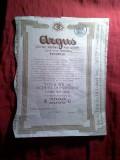 Actiune ARGUS 1925 - Titlu 10 Actiuni la purtator ,cupoane , timbru sec , stampila , -uzata