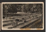 CPI B13897 CARTE POSTALA - SLANIC MOLDOVA, PARCUL DE ODIHNA, RPR, Circulata, Fotografie