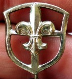 I.186 INSIGNA STICKPIN FLOARE DE CRIN Fleur de Lis h18mm CERCETAS SCOUTER?