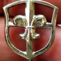 I.186 INSIGNA STICKPIN FLOARE DE CRIN Fleur de Lis h18mm CERCETAS SCOUTER?