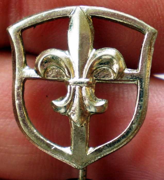 I.186 INSIGNA STICKPIN FLOARE DE CRIN Fleur de Lis h18mm CERCETAS SCOUTER?