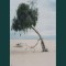 Ninety Nine Names: A collection of short stories by