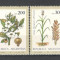 Argentina.1979 Flori de plante agricole GA.272