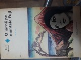 Cumpara ieftin O iarna pe muntele Fuji - Erwin Wickert