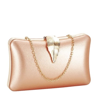 Geanta clutch sampanie simplu BME-600 05 foto