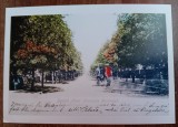 QW23 B - Carte postala - tematica turism - vedere - Romania - Barlad / Birlad 47