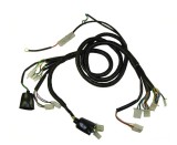 Instalatie electrica scuter chinezesc roata 12''