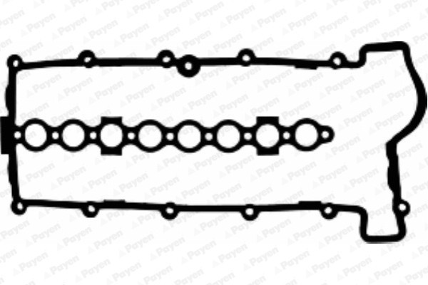 PAYEN JM5167 Garnitura, capac supape