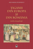 Ţiganii din Europa şi din Rom&acirc;nia. Studiu imagologic - Hardcover - Alex Mihai Stoenescu - RAO