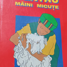 POVESTIRI BIBLICE PENTRU MAINI MICUTE