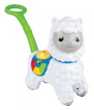 JUCARIE DE IMPINS ALPACA, Winfun