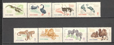 Romania.1964 Animale din Gradina Zoologica Bucuresti XR.489 foto