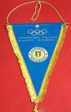 Fanion (model vechi) Handbal - FEDERATIA de HANDBAL din ITALIA (dimensiuni mari 39X23 cm)