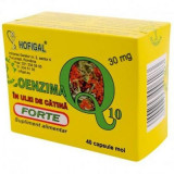 Cumpara ieftin Coenzima Q10 in ulei de catina forte, 40 capsule, Hofigal