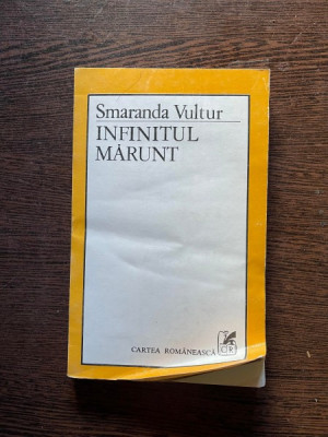 Smaranda Vultur - Infinitul marunt foto