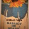 RĂSĂRIT DE SOARE - NICOLAE FULGA