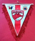Fanion fotbal - DINAMO BUCURESTI (dimensiuni mari 35x18 cm)