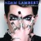 Adam Lambert For Your Enterteinment (cd)