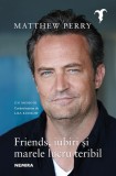 Friends, iubiri și marele lucru teribil - Paperback brosat - Matthew Perry - Nemira