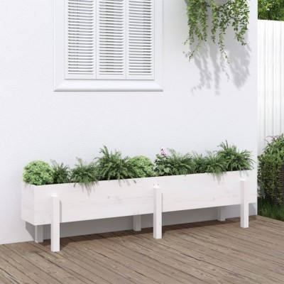 Gossi strat inaltat de gradina, alb, 160x30x38 cm, lemn masiv de pin foto