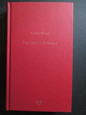 Ingerul a strigat-fănuș Neagu foto