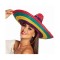 Pălărie Sombrero mexican, pentru adulti, multicolor, 49 cm