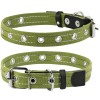 Collar, Zgarda caini adimensionala, 25mm latime, 53cm lungime, verde, (6755)
